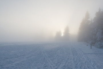winter snowy landscape in dense fog
