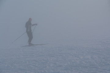 cross country skier in dense fog, winter snowy landscape
