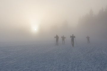 cross country skiers in dense fog, winter snowy landscape