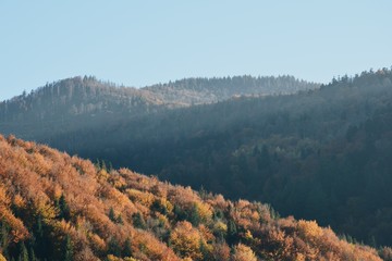 Family trip to Carpathian Mountains. Shot on Nikon d5200.