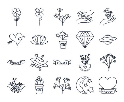simple line drawing succulent tattoo  Google Search  Handen tekenen Het  planten van vetplanten Illustraties