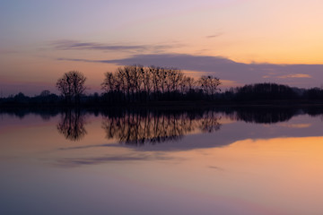 Purple-pink sky and cloud over the lake, trees on the horizon, view after sunset