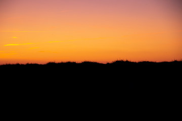 The sunset color the sky orange, yellow and pink while the grass and ground is seen like a silhouette towards the sky. Has copy space.