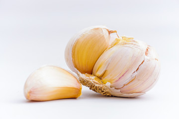 garlic is isolated white background and copy space
