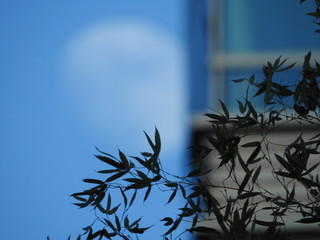 Księżyc w mieście © EwaAF