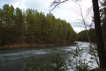 A river in a pine forest in Central Russia.