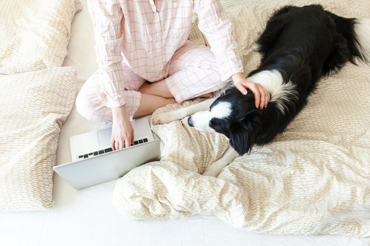Mobile Office at home. Young woman in pajamas sitting on bed with pet dog working using on laptop pc computer at home. Lifestyle girl studying indoors. Freelance business quarantine concept.