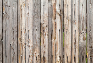 Grungy gray wooden wall background texture