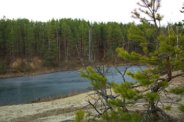 Forest lake in a pine forest in Central Russia.