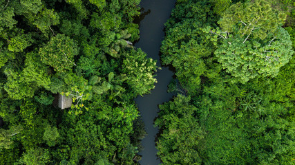 Aerial photo of Amazon rain forest jungle with the river view in Peru  - obrazy, fototapety, plakaty