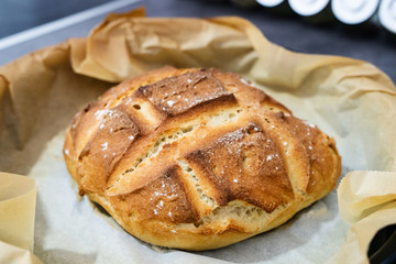Close up on fresh baked homemade traditional rustic loaf of bread in the casserole dish over baking paper