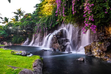 Fotobehang A Beautiful Waterfall in Hawaii © shanemyersphoto