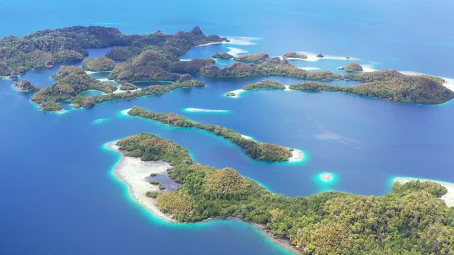 A collection of rock islands is found in Raja Ampat's beautiful seascape. This area in Indonesia is known to be the heart of marine biodiversity and is a popular destination for divers and snorkelers.