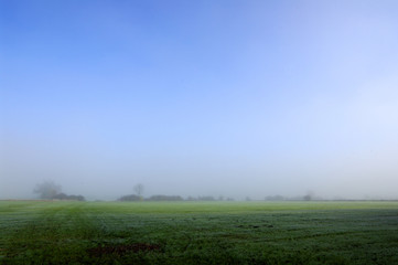 Fototapeta na wymiar Landschaft im Nebel
