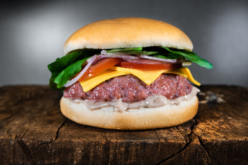 food hamburger fries color apple onion 
