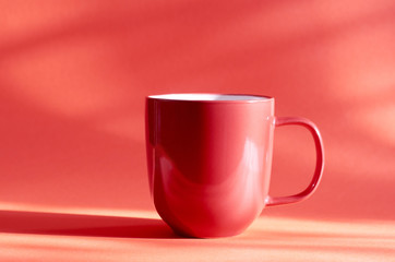 Coffee cup on the color background.