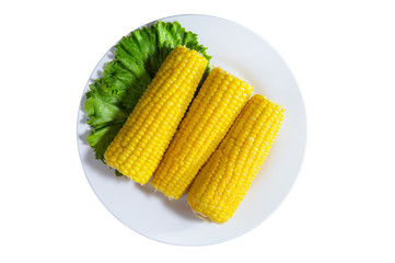 Three ears of corn on a plate with lettuce