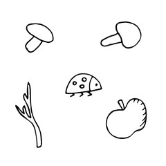 hand-drawn vector illustration, element without background, mushrooms, apple, ladybug and twig
