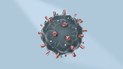 Coronavirus, structure of a virus with RNA and proteins, 3d model with wireframe, isolated, bright background