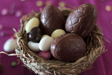 Easter eggs on bird nest