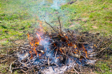 Fire and Smoke from during Burning of garden branches