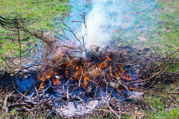 Fire and Smoke from during Burning of garden branches