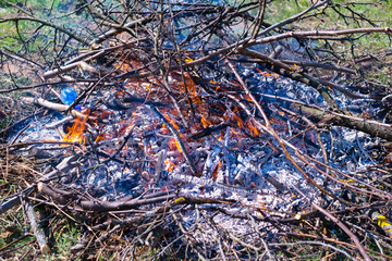 Fire and Smoke from during Burning of garden branches