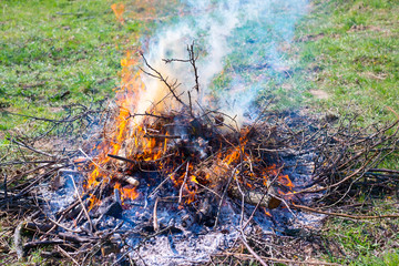 Fire and Smoke from during Burning of garden branches