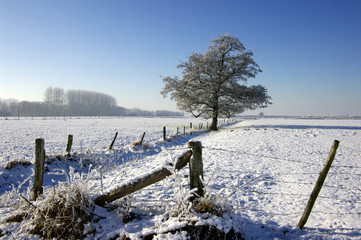 Winterlandschaft, Schnee, Frost, Landschaft, Himmel, 