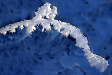 Winterlandschaft, Schnee, Frost, Landschaft, Himmel, 