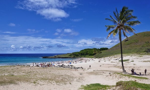 Easter Island &ndash; Beautiful beach with palm tree at Anakena