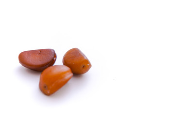 salak fruit seeds, isolated white background and copyspace, scientific name: Salacca zalacca