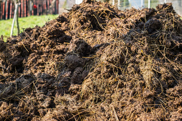 Obraz premium Piles of cow manure on the farm to fertilize the ground