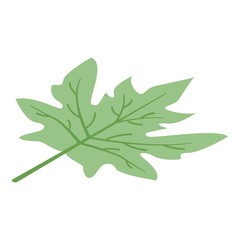 Papaya leaf icon. Isometric of papaya leaf vector icon for web design isolated on white background