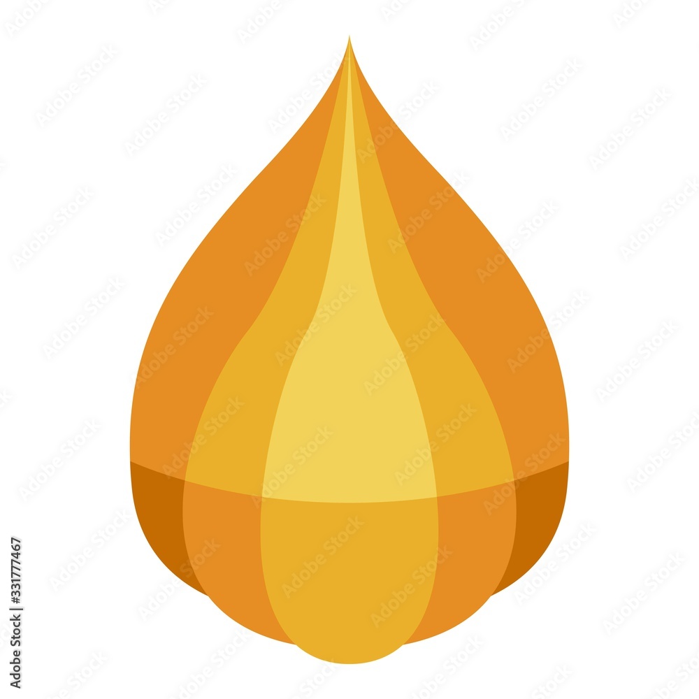 Poster physalis icon. isometric of physalis vector icon for web design isolated on white background