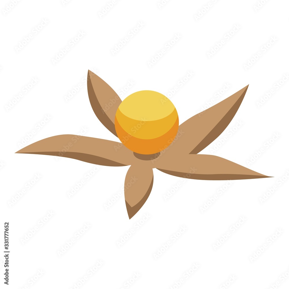 Poster physalis seed icon. isometric of physalis seed vector icon for web design isolated on white backgrou
