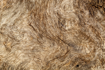 Old Weathered Brownish Wood Texture