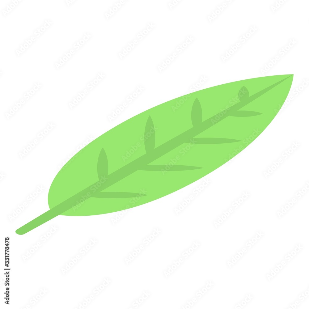Poster longan leaf icon. isometric of longan leaf vector icon for web design isolated on white background