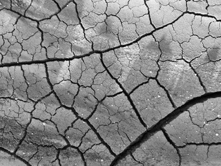 Details of a dried cracked earth soil