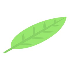 Longan leaf icon. Isometric of longan leaf vector icon for web design isolated on white background