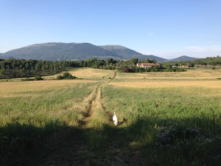 campagna umbra in primavera