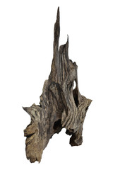 Fototapeta premium Aquarium Wurzel Mangroven wurzel braun