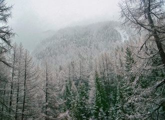 Snow covered Zermatt with fog in Switzerland in winter