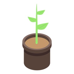 Apricot plant pot icon. Isometric of apricot plant pot vector icon for web design isolated on white background