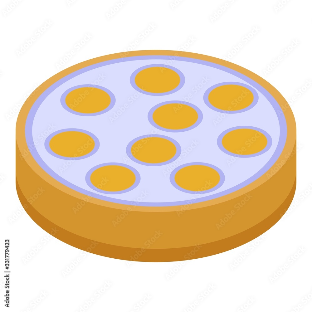 Poster apricot cake icon. isometric of apricot cake vector icon for web design isolated on white background