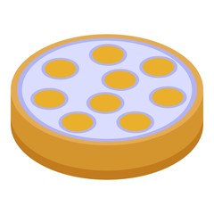 Apricot cake icon. Isometric of apricot cake vector icon for web design isolated on white background