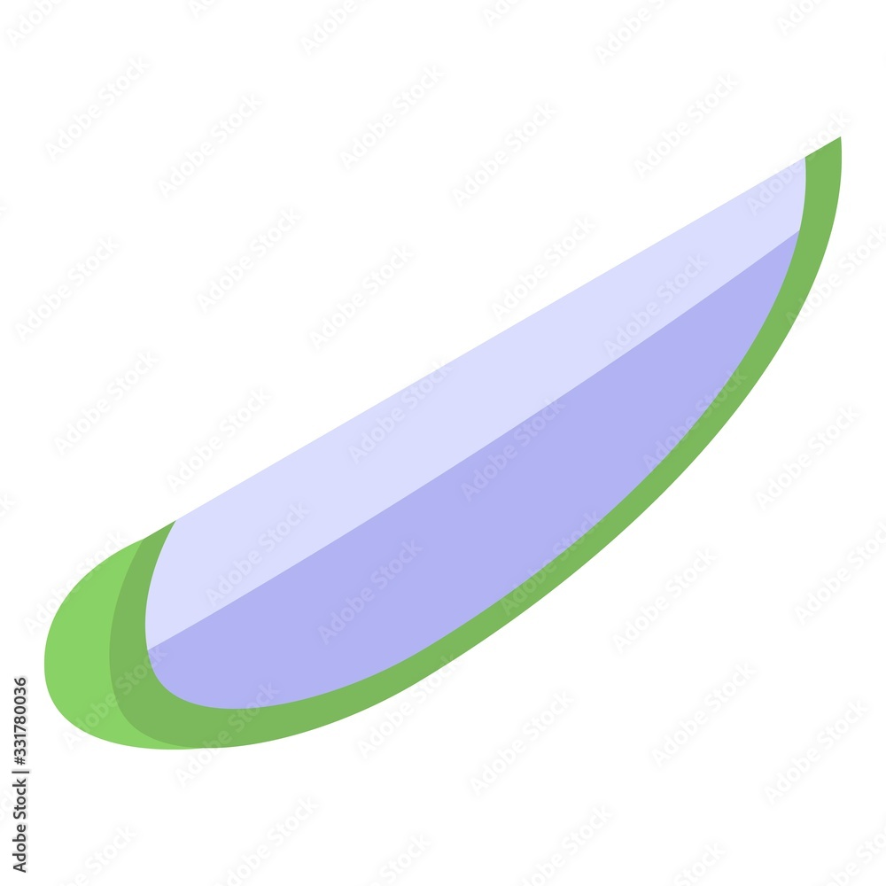 Poster soursop slice icon. isometric of soursop slice vector icon for web design isolated on white backgrou