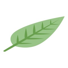 Soursop leaf icon. Isometric of soursop leaf vector icon for web design isolated on white background
