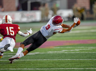 Great action photos of football players making amazing plays during a football game