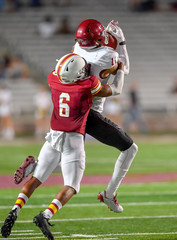 Great action photos of football players making amazing plays during a football game